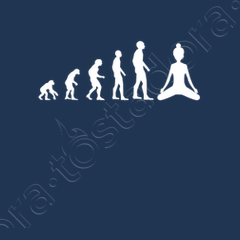 Camiseta evolución yoga humor yoga mujer