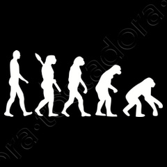 evolution_backwards--i:14138510495541413851;d:1049554;w:240;b:000000;m:1.jpg