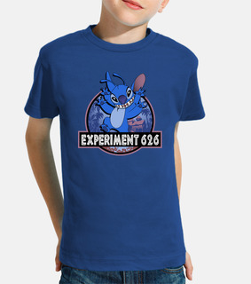 experiment 626 - stitch