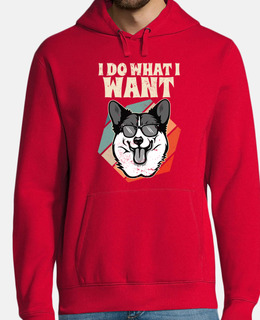 faccio quello che voglio welsh corgi vi