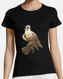 falconry show, falcon, eagles, birds of prey,