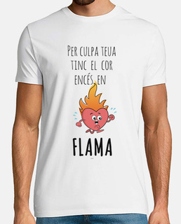 Falles Xiqueta meua B