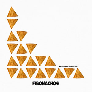 Camisetas Fibonachos