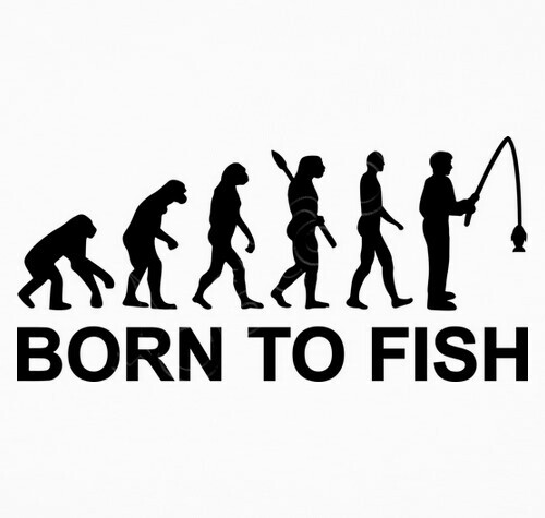 fishing evolution born to fish t shirt 1174319 fishing evolution born to fish t shirt 1174319