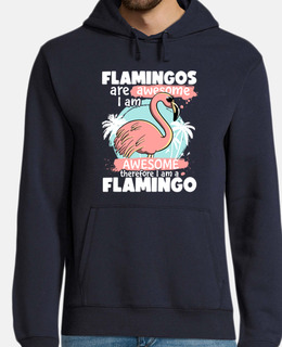 Flamingos Are Awesome I am Awesome Ther