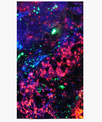 coque iphone 6 plus fluorescente coque iphone 6 plus fluorescente