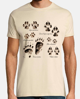 footprints