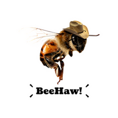 bee with a cowboy hat