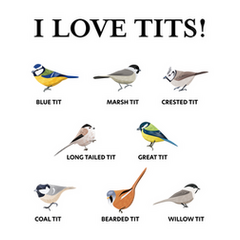 I love tits!  Funny Gift for Birdwatching & Tit bird fan  