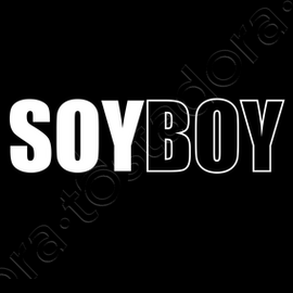 soy boy hoodie