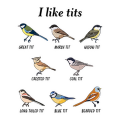 Funny tit bird watching gift for birder