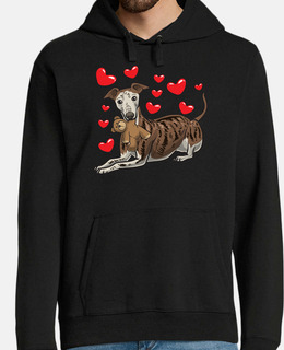 galgo espanol cane con peluche
