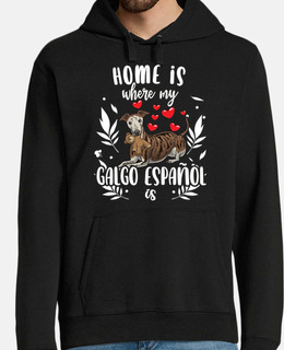 galgo espanol cane con peluche