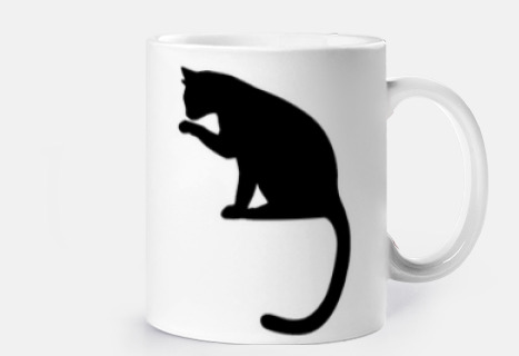 gato