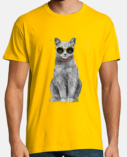 gato de verano