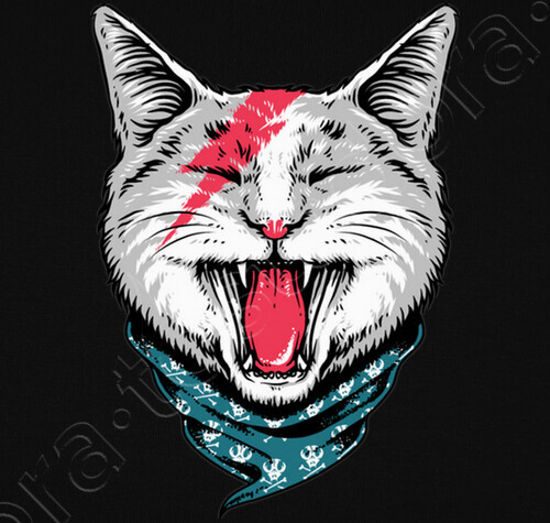 Topic des chats - Page 6 Gato_roca--i:1413858013681413851;x:1;w:520;m:1