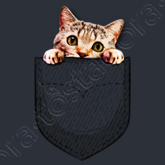 Felpa gatto in tasca tostadora