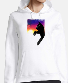 gatto freddo