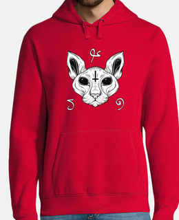 gatto inferno baphomet satanismo demoni