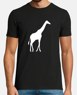 girafe afrique girafes désert