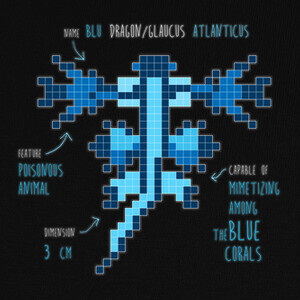 T-shirt Glaucus Atlanticus Blue Dragon
