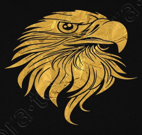 Golden Eagle Head T Shirt Tostadoracom