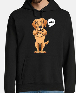 golden retriever cane testardo diverten