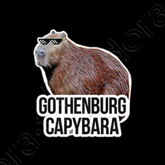 Gothenburg Memes Discover Gothenburg With Peter Meet The Locals