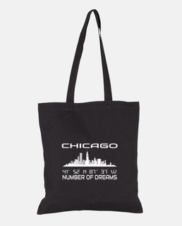 Gps Coordinates City Chigaco Skyline
