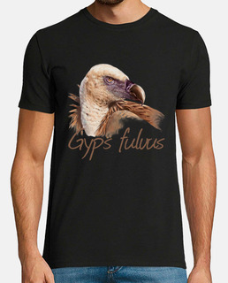 griffon vulture - portrait