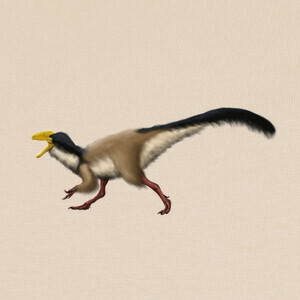 Playeras Guanlong wucaii