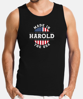 Harold Name Patriotic American Made in