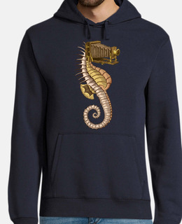 hippocampus camerarum