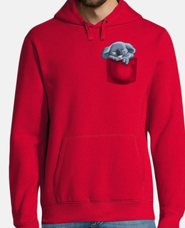 Homme, sweat, bleu royal