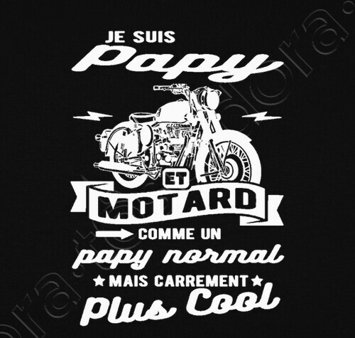 Avoir Images Tee Shirt Papy Et Motard Humour Tostadora Fr actualisé par