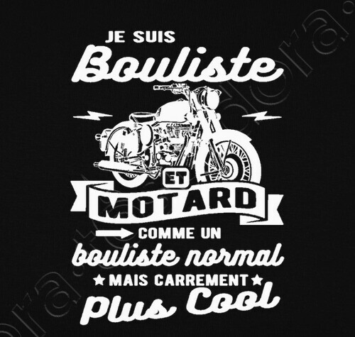 Avoir Images Tee Shirt Bouliste Et Motard Humour Tostadora Fr le plus cool par