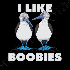 i like boobies blue footed booby bird