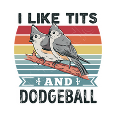I like tits and dodgeball funny bird t-shirt