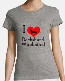 I love dachshund wirehaired