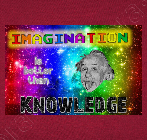 camiseta-imagination-is-better-than-knowledge-latostadora