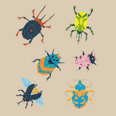 Sac insectes et coléoptères colorés
