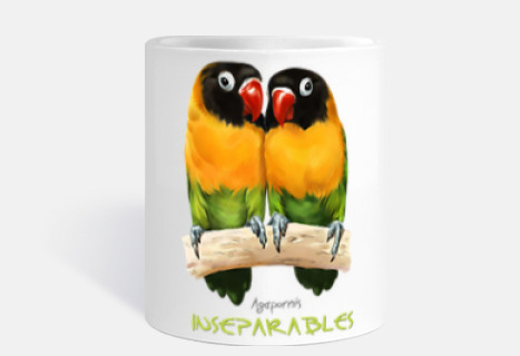Inseparables agapornis