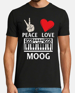 instrument de musique moog piano moog