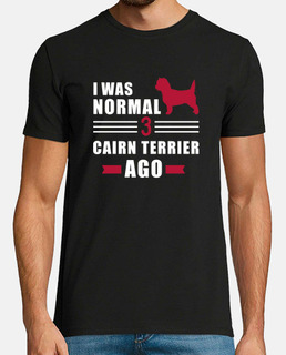 J39étais normal il y a 3 cairn terriers