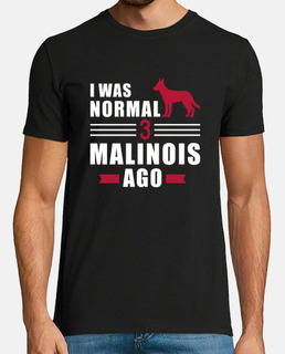 J39étais normal il y a 3 malinois
