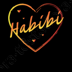 habibi means -MENACING