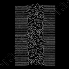 Joy division store cat shirt