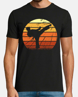 Karate Martial Arts Taekwondo Fighter