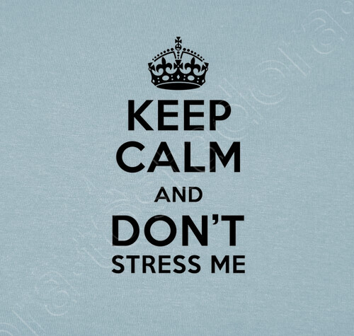 Camiseta Keep Calm And Dont Stress Me Latostadora