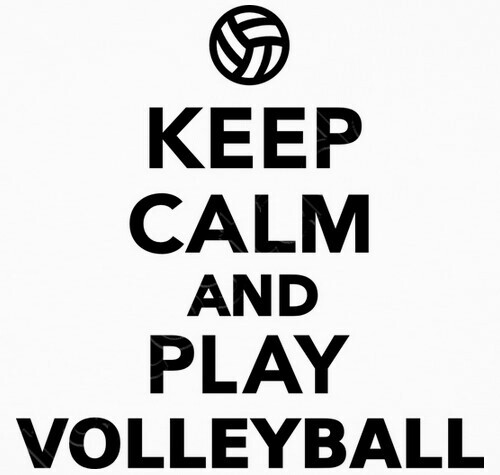 JUEGA VOLEIBOL juega voleibol: